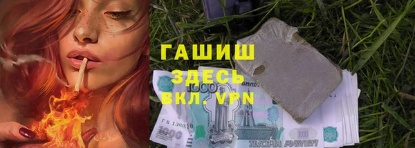прущие грибы Зеленодольск