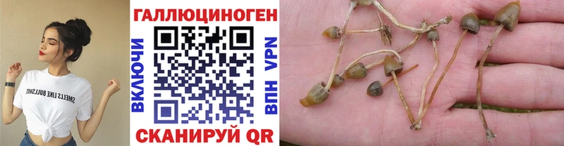 блэк спрут tor  Ивантеевка  Псилоцибиновые грибы мицелий 